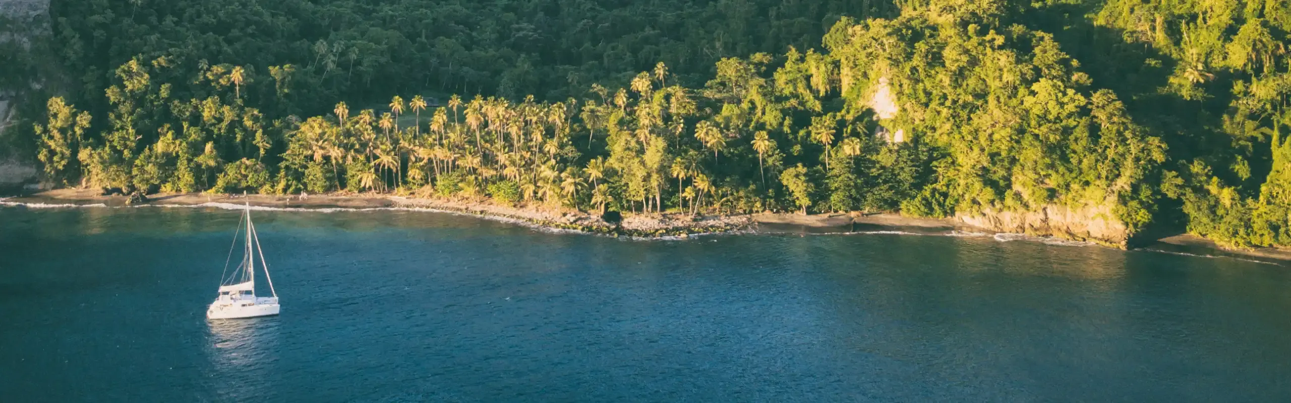 Vue aérienne d'un catamaran ancré près d'une côte sauvage bordée de cocotiers en Martinique