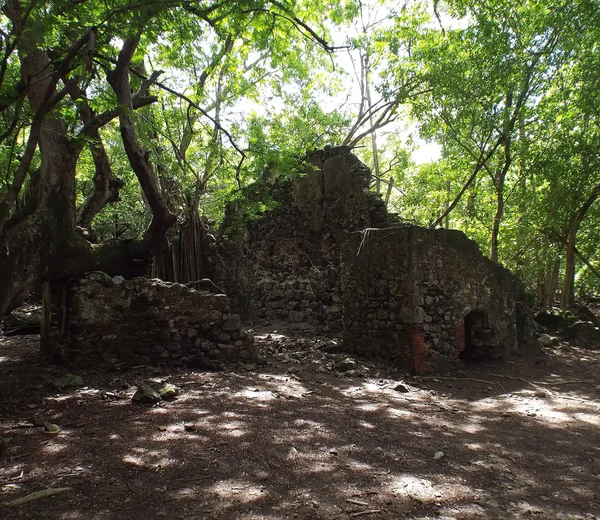 Murs de pierre en ruine d'une ancienne habitation, sous les arbres de l'îlet Chancel