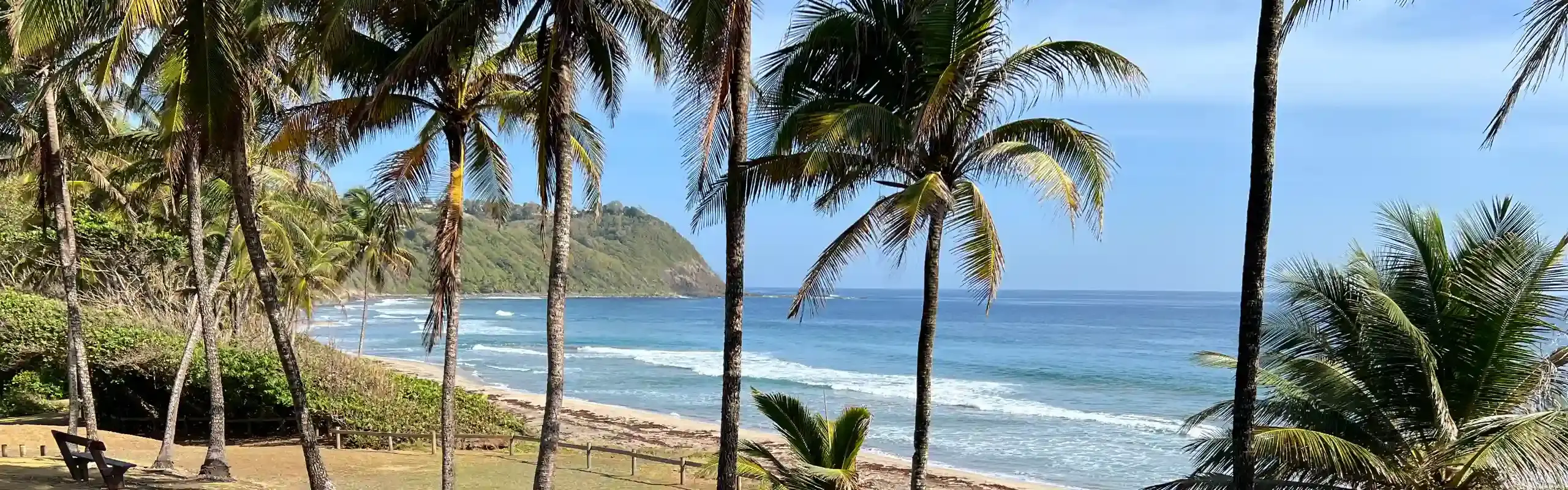 Plage tropicale Martinique