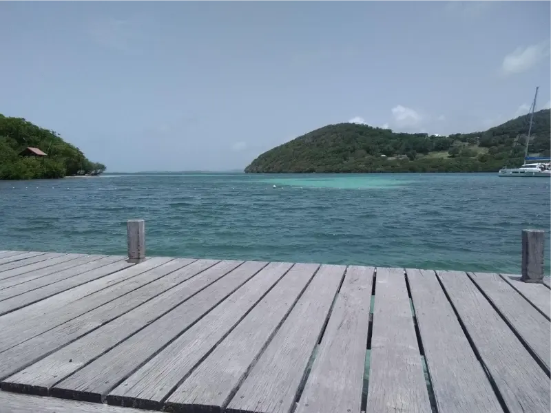 Demi-Journée - photo 2