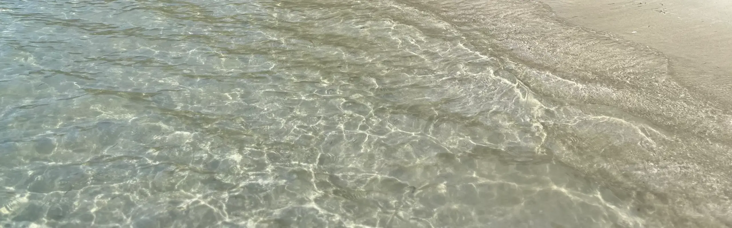 Eau turquoise cristalline léchant une plage de sable blanc
