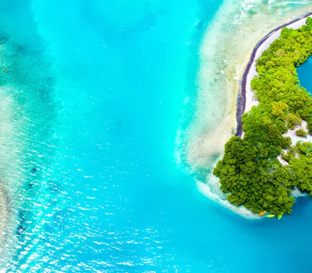 Eau turquoise sur fond de sable clair au pied de la mangrove d'un îlet, vue du ciel