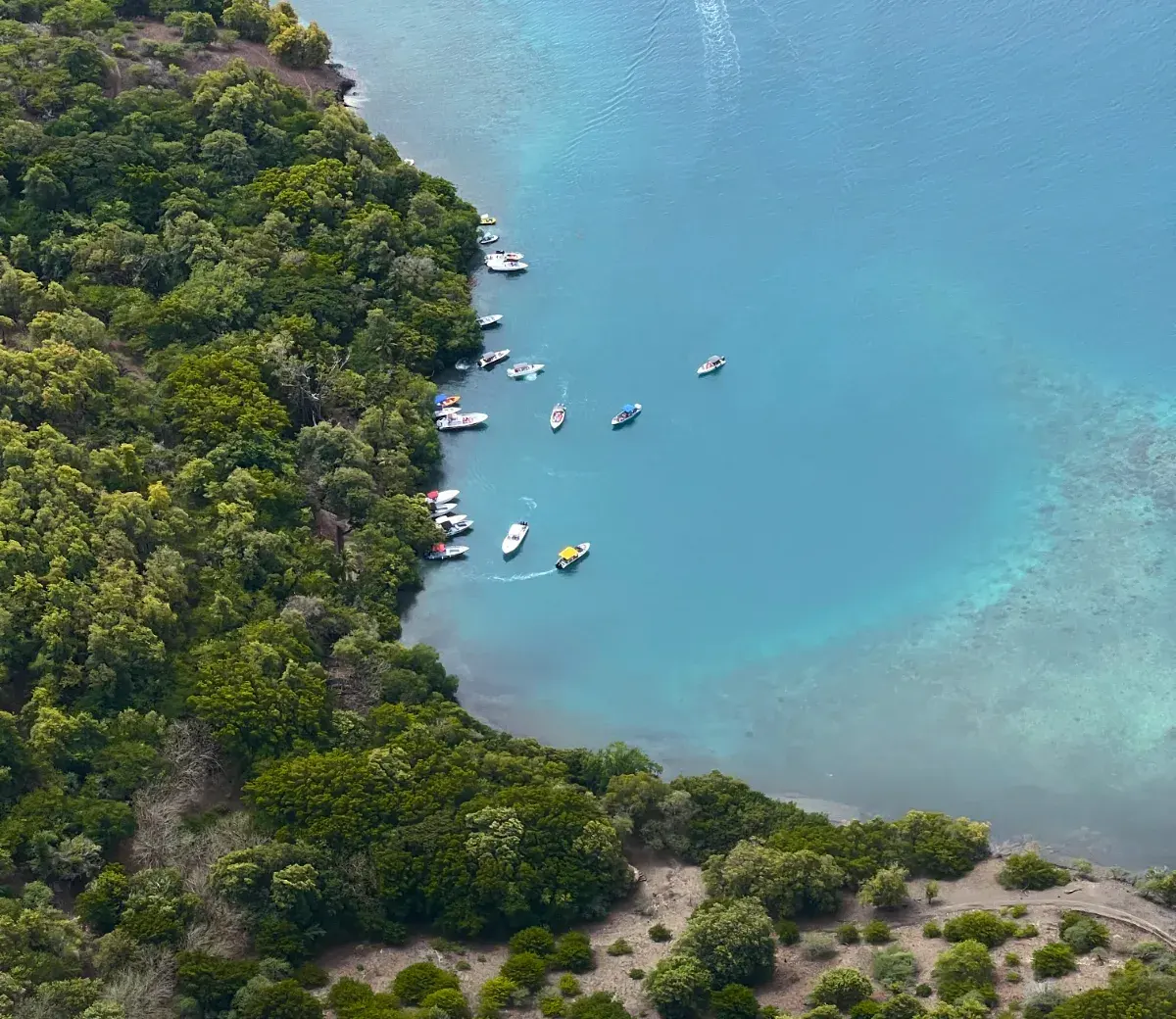 La rive de l'îlet Chancel vue du ciel, forêt littorale basse et bateaux au mouillage sur les hauts-fonds turquoise